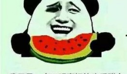 娱乐吃瓜有趣名字大全霸气,揭秘娱乐圈趣味名字背后的故事