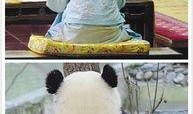 娱乐圈吃瓜群众的句子,揭秘明星幕后故事