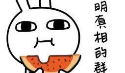 娱乐吃瓜酱其实你的身体,身体构造与功能解析